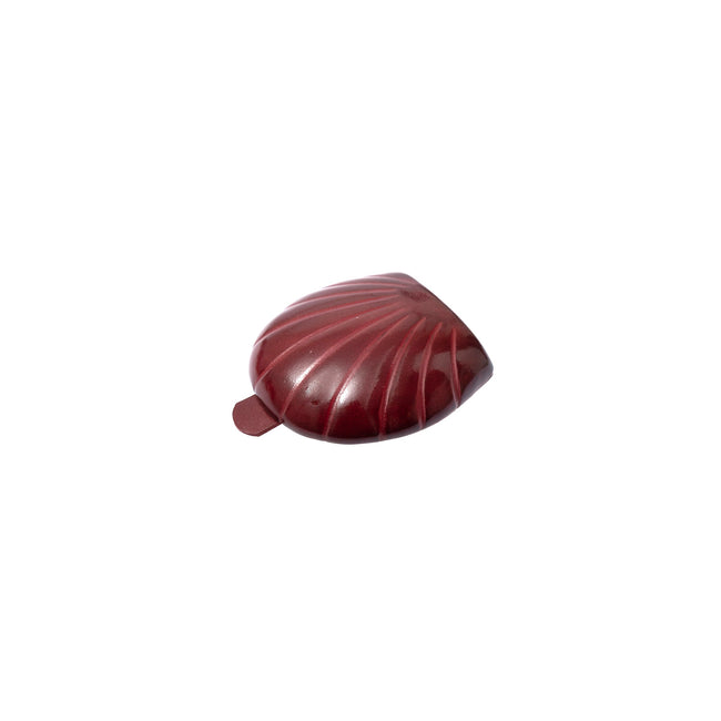 Portamonete Conchiglia