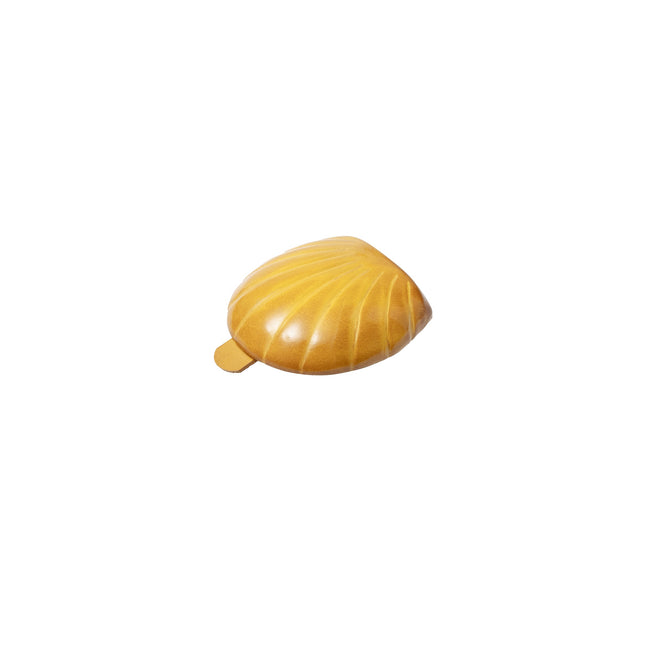 Portamonete Conchiglia